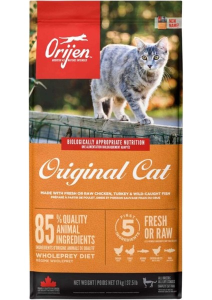 Orijen Original Cat Tahılsız Yavru ve Yetişkin Kedi Maması 17KG
