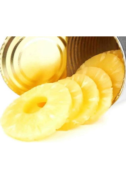 Ananas Konserve Dilimli 565 gr modelleri