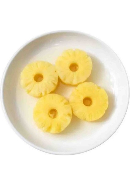 Ananas Konserve Dilimli 565 gr fırsatları