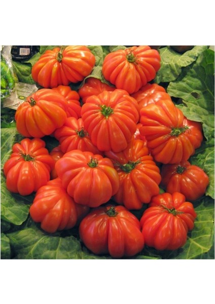 Nadir Ithal Antik Domates Tohumu 10 Adet Tohum