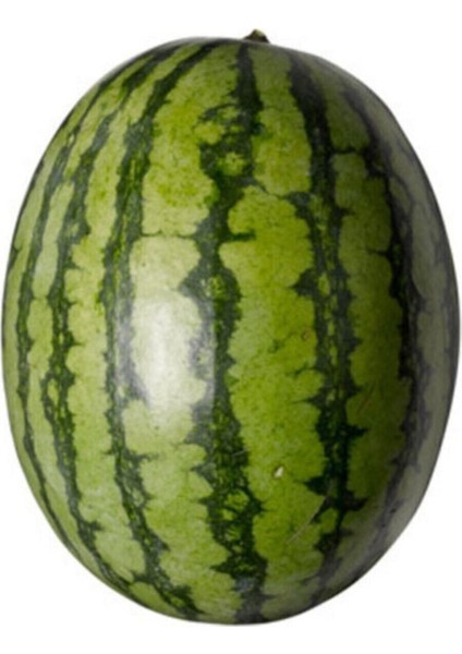 Meşhur Adana Karpuzu Tohumu 5 Adet Tohum Adana Salbaş Karpuz Tohumu