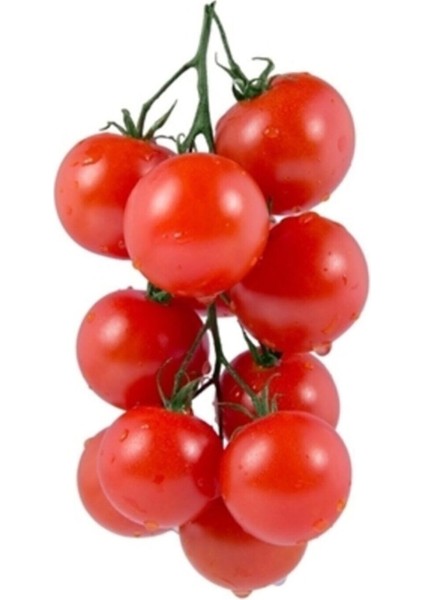 Erkenci Beşdeli Salkım Domates Tohumu 10 Adet Tohum