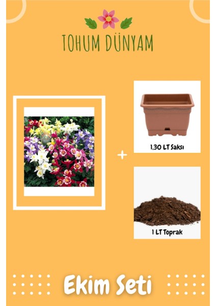 Haseki Küpesi Çiçek Tohumu Ekim Seti