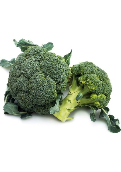 20 Adet Sproutıng Broccolı Tohumu