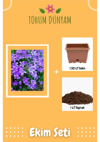 Kadeh Çan Çiçeği Tohumu Ekim Seti