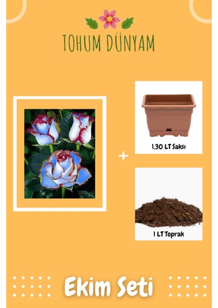 Mavi Hipnoz Gül Tohumu Ekim Seti