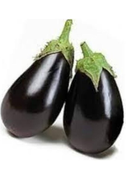 Adana Dolmalık Patlıcan Tohumu 40 Adet