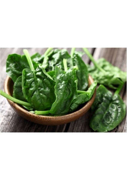 Agrobazaar Matador Ispanak 200+ Tohum