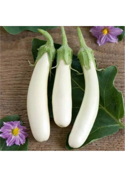 Süper Paket 200 Adet Tohum Ithal Endonezya Beyaz Kemer Patlıcan Tohumu