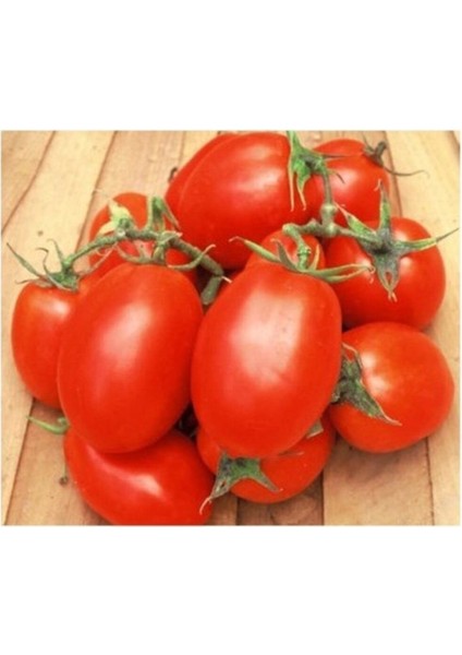 Roma Domates 15 Tohum