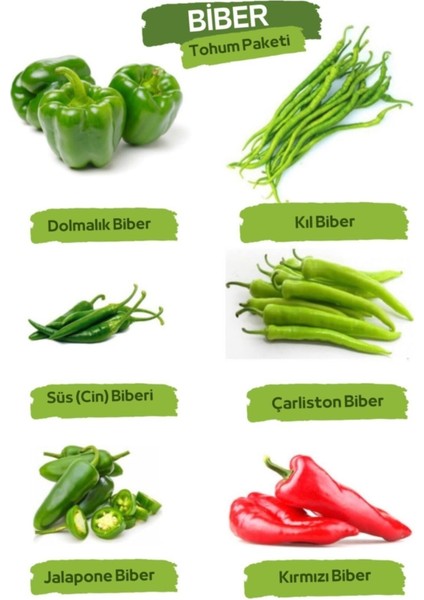Biber Tohum Paketi 300+ Tohum