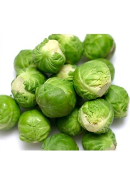 Agrobazaar Brüksel Lahanası 10+ Tohum