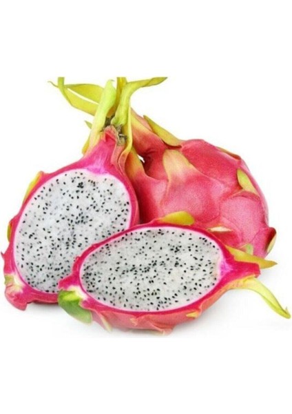 Pitaya Ejder Meyvesi Tohumu 10 Adet Tohum Pithaya Dragon Fruit