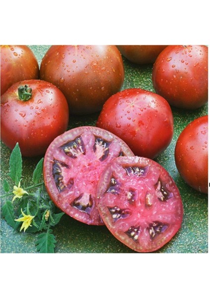 10 Adet Siyah Prens Domates Tohumu