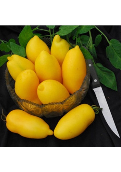 Roman Candle Domates Tohumu