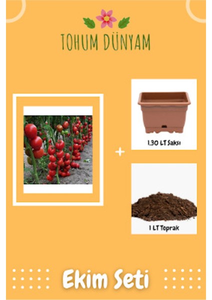 Sırık Domates Tohumu Ekim Seti