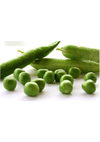 Agrobazaar Saksılık Bezelye Tohumu 10+ Adet Tohum