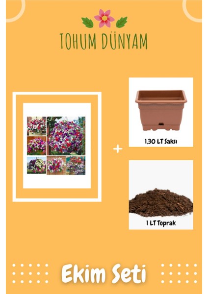 Karışık Petunya Çiçeği Tohumu Ekim Seti