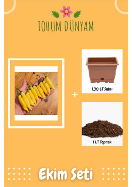 Limon Damlası Acı Biber Tohumu Ekim Seti