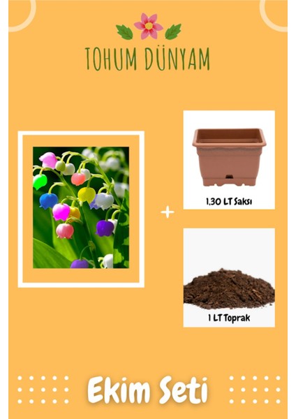 Çan Orkide Tohumu Ekim Seti