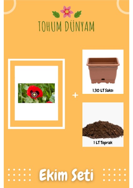 Kırmızı Gelincik Çiçeği Tohumu Ekim Seti