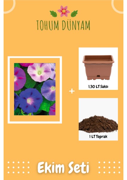 Sarmaşık-Gündüz Sefası Tohumu Ekim Seti