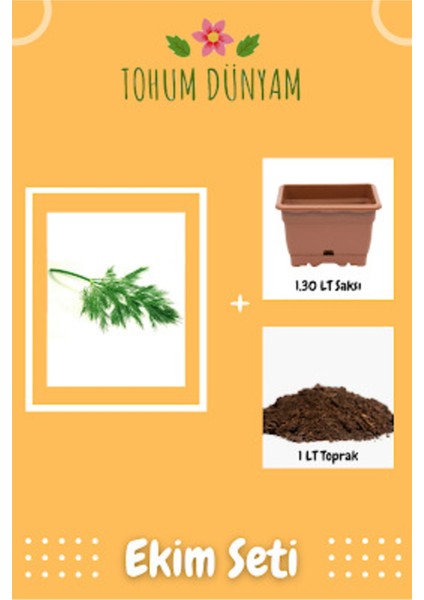Dereotu Tohumu Ekim Seti