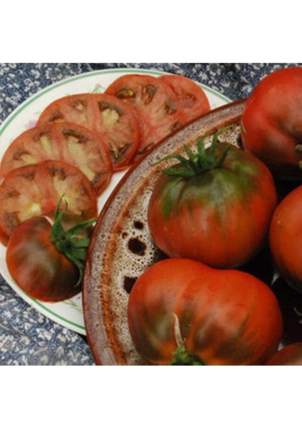 20 Adet Southern Nights Domates Tohumu