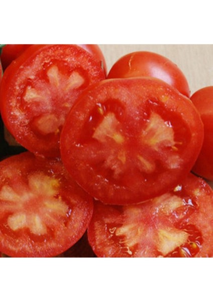 Majorcan Wagonwheel Domates Tohumu