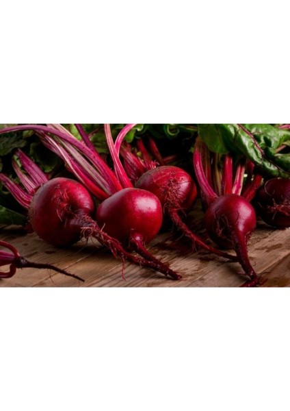 500 Adet Atalık Pancar Tohumu