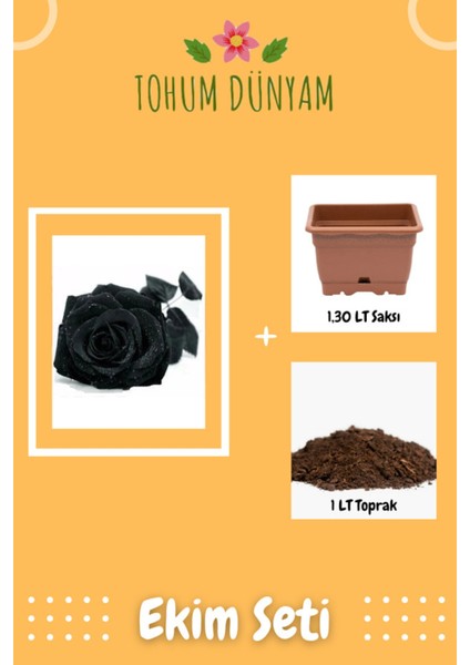 Siyah Gül Tohumu Ekim Seti