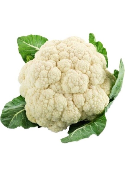 Karnabahar Tohumu 25 Adet Tohum Karnıbahar