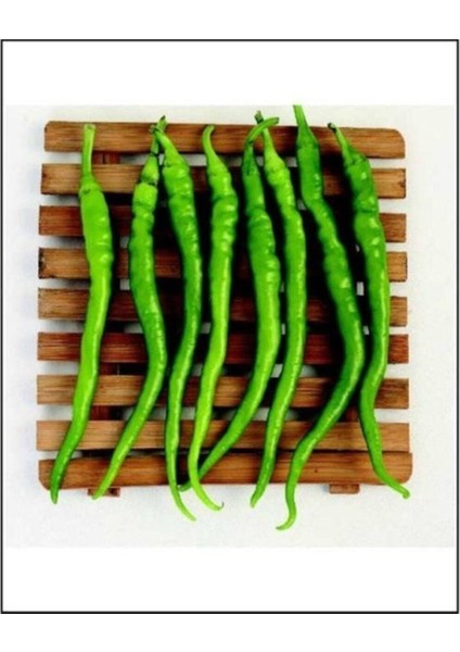 Sivri Tatlı Kıl Biber 25+ Tohum