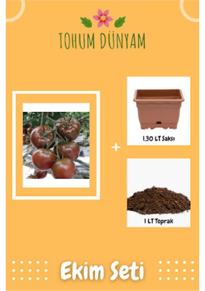 Siyah Sırık Domates Tohumu Ekim Seti