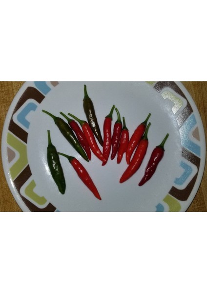 20 Adet Chile De Espelette Biber Tohumu