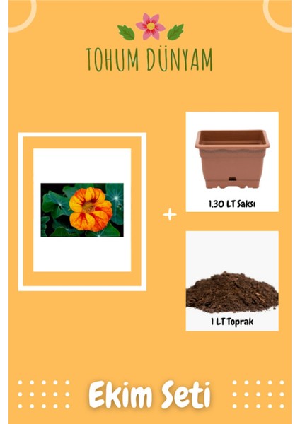 Latin Çiçeği (Nasturtium Majus) Tohumu Ekim Seti