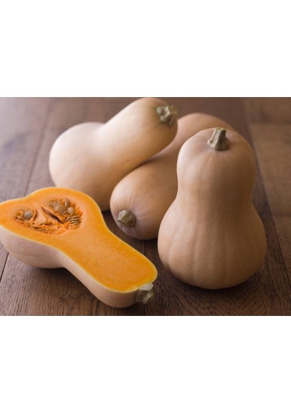 5 Adet Erkenci Bal Kabağı Tohumu