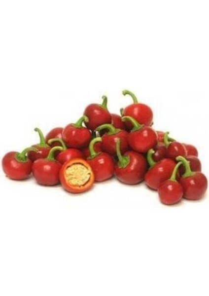 Süper Paket 50 Adet Tohum Nadir Ithal Cherry Kiraz Biberi Tohumu Biber Tohumu
