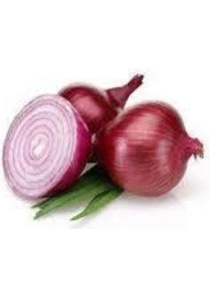 30 Adet Tohum Yerli Mor Soğan Tohumu Ata Tohum