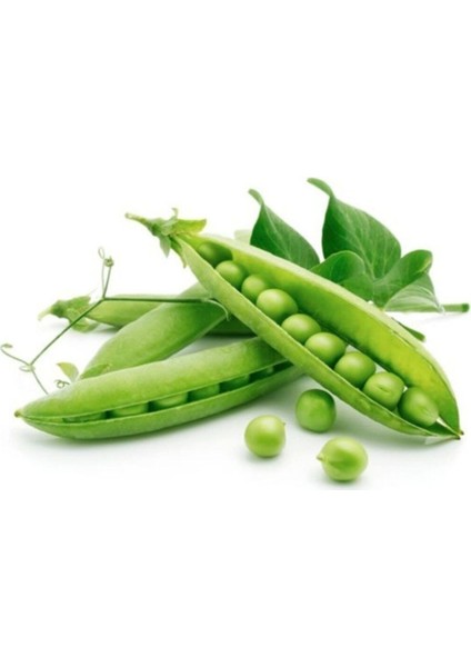 Agrobazaar Tatlı Bezelye Tohumu 10+ Adet Tohum