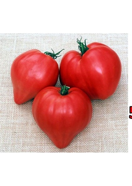 Kalp Şeklinde Domates Tohumu