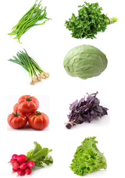 Tohum Seti, 8 Çeşit Sebze Tohumu (Fasulye, Maydanoz, Soğan, Lahana, Domates,reyhan,turp,marul)Tohumu