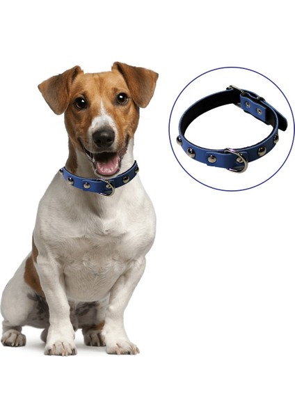 Yumuşak Dokulu Deri Köpek Gezdirme Boyun Tasması (Large) (5282)