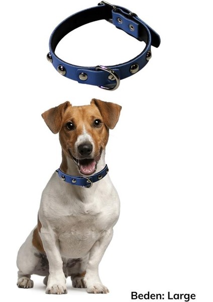 Yumuşak Dokulu Deri Köpek Gezdirme Boyun Tasması (Large) (5282) modelleri