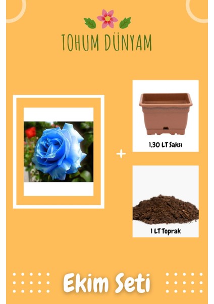 Mavi Gül Tohumu Ekim Seti