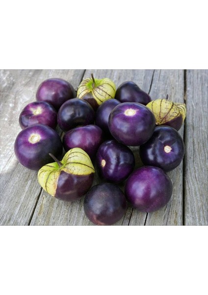 10 Adet Purple Domates Tohumu