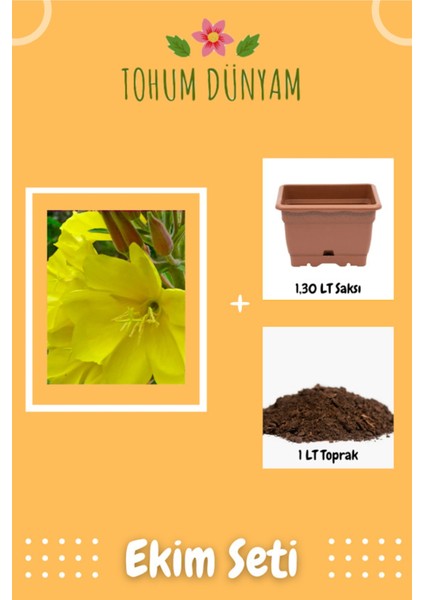 Ezan Çiçeği Çiçek Tohumu Ekim Seti