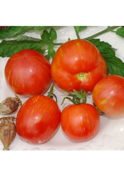 Tigerella Domates Tohumu