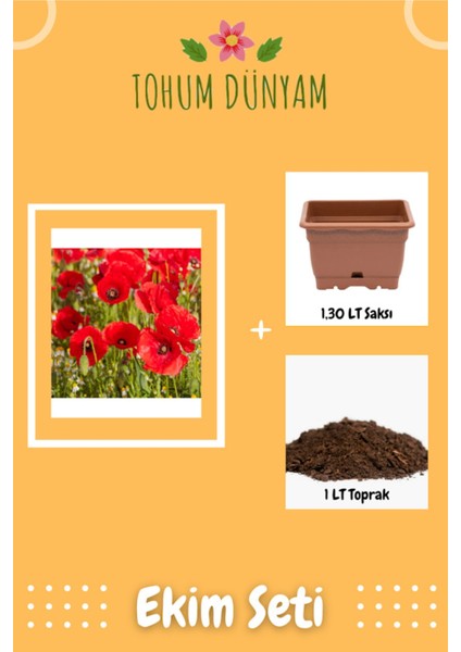 Gelincik Çiçek (Papaver Rhoeas) Tohumu Ekim Seti