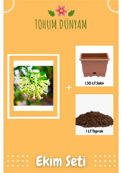 Kokulu Melisa Çiçeği Tohumu Ekim Seti